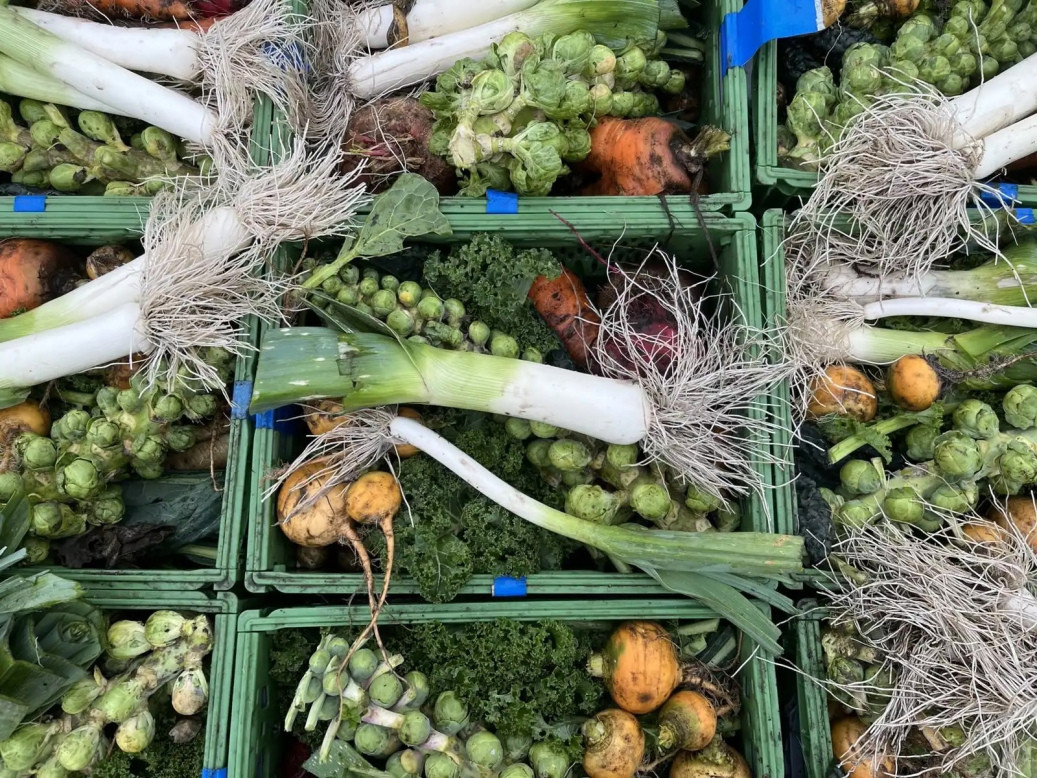 Weekly vegetable crates filled with leeks, Brussels sprouts, and fresh produce