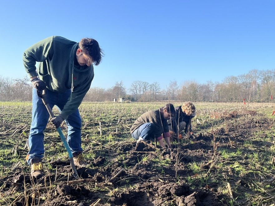 Our farmers planting trees at the garden in Scherpenzeel